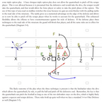 Load image into Gallery viewer, The Gun Triple Option Manual Version 2.0
