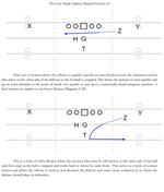 Load image into Gallery viewer, The Gun Triple Option Manual Version 2.0
